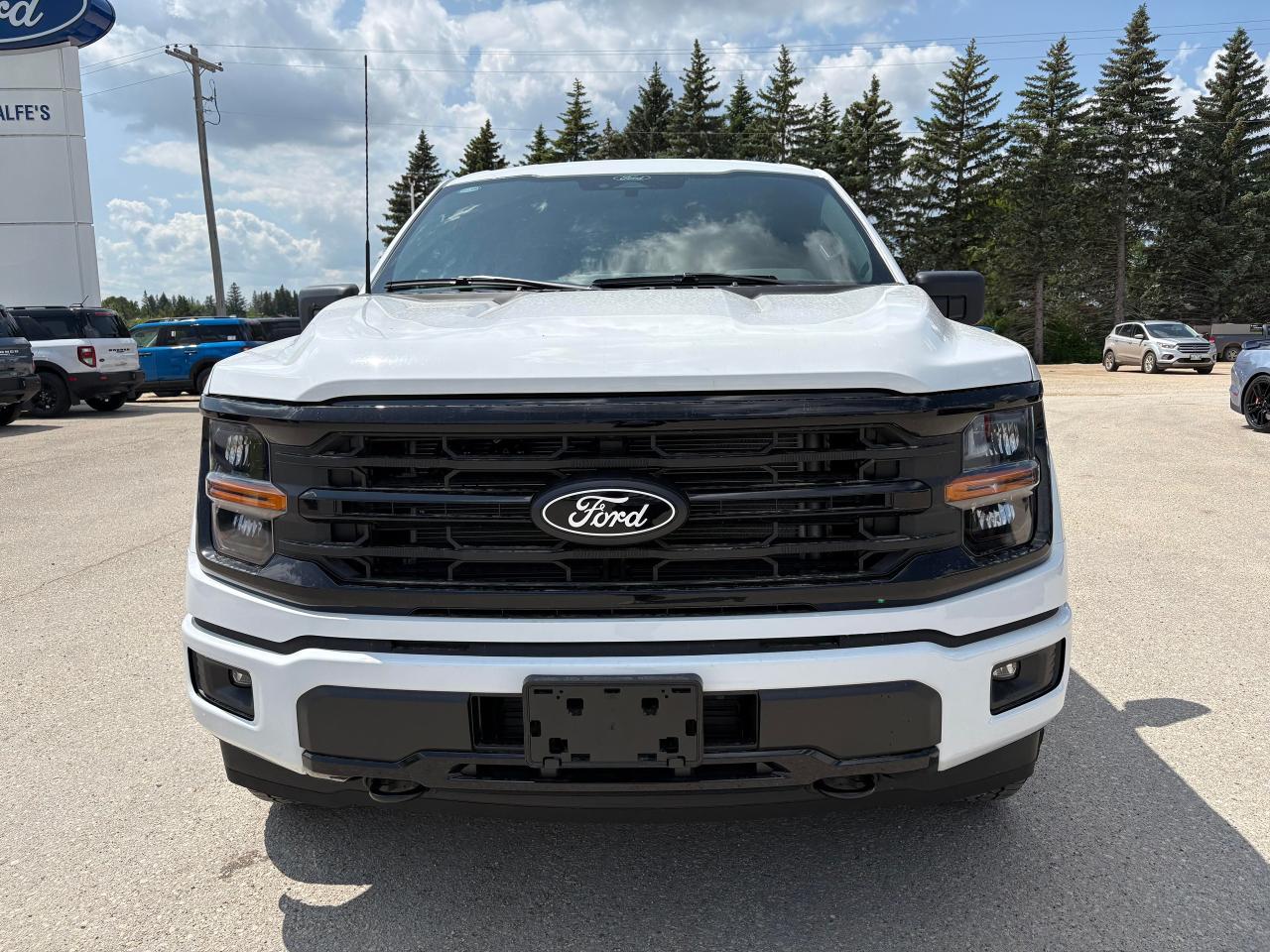 2025 Ford F-150 XLT 4WD SuperCrew 5.5' Box Photo