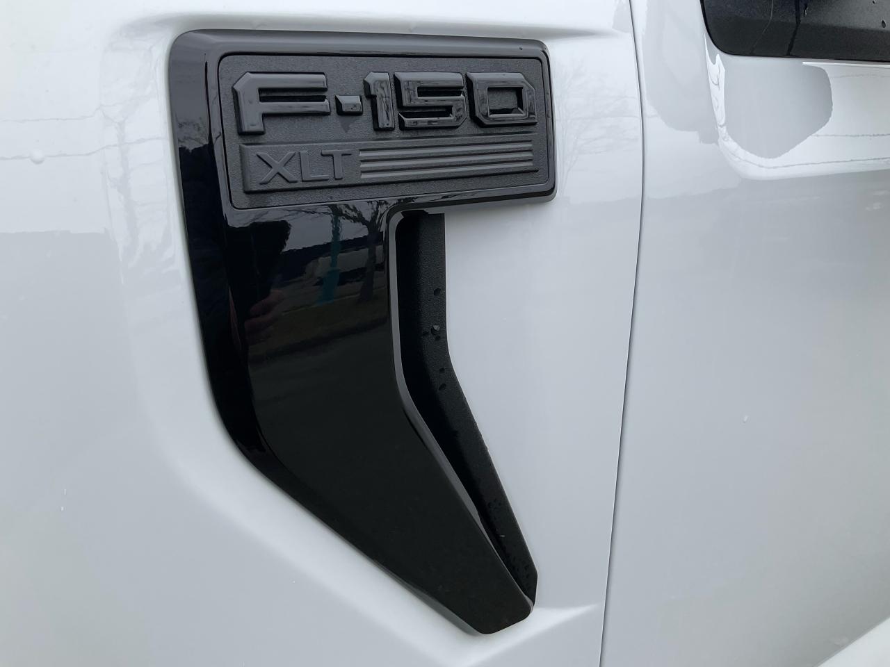 2025 Ford F-150 XLT Photo5