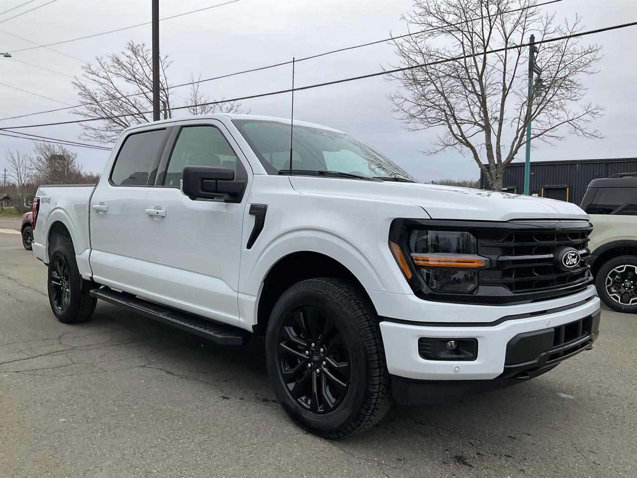 2025 Ford F-150 XLT Photo2