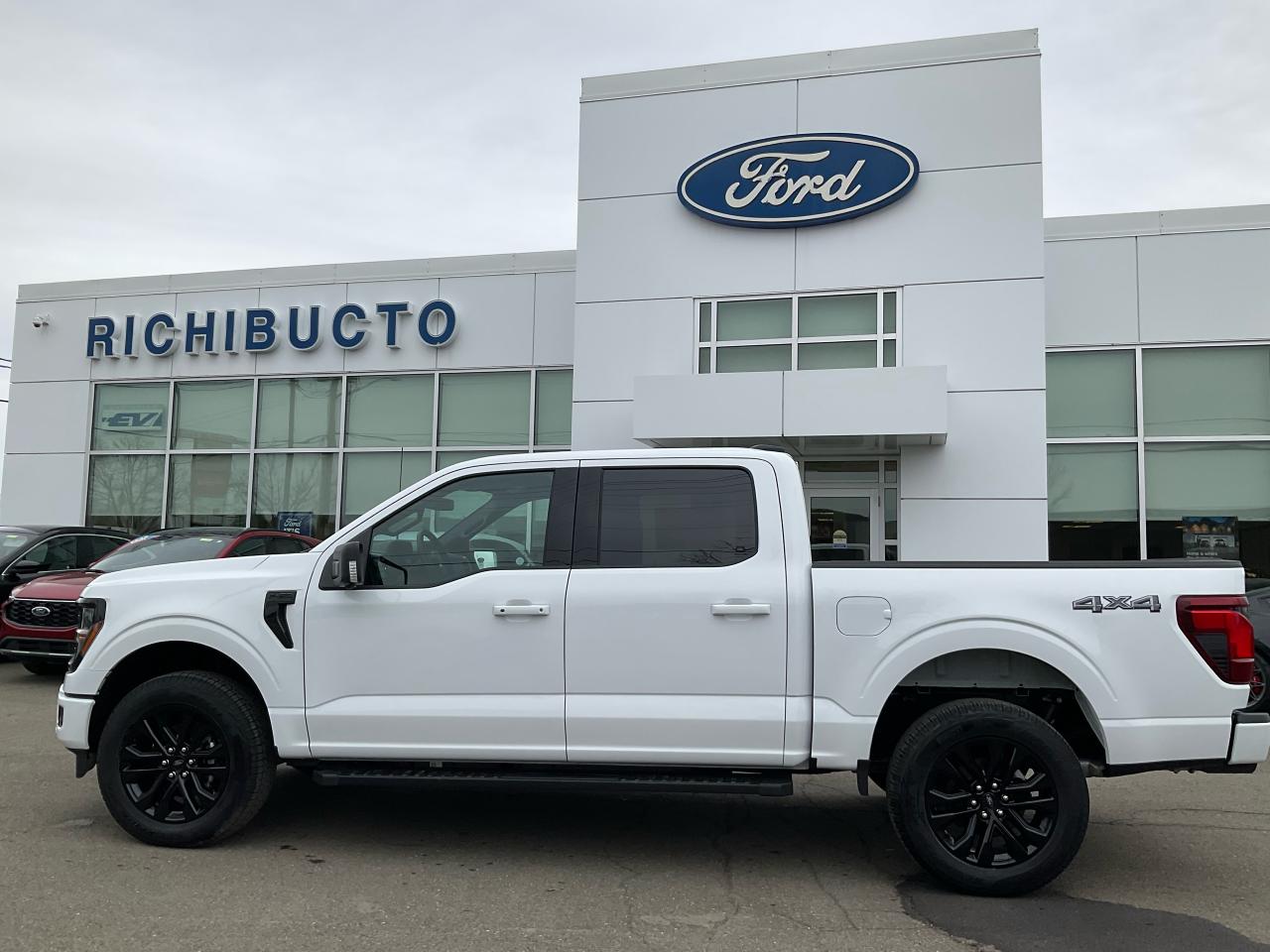 2025 Ford F-150 XLT Photo5