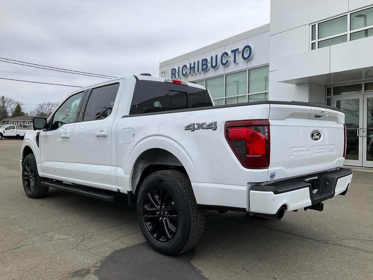2025 Ford F-150 XLT Photo3