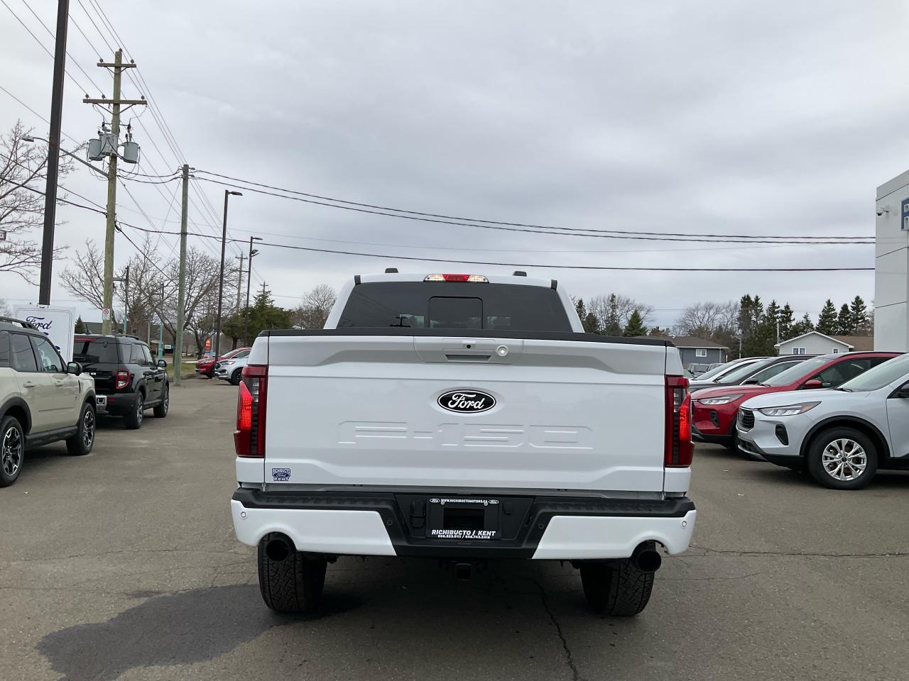 2025 Ford F-150 XLT Photo5