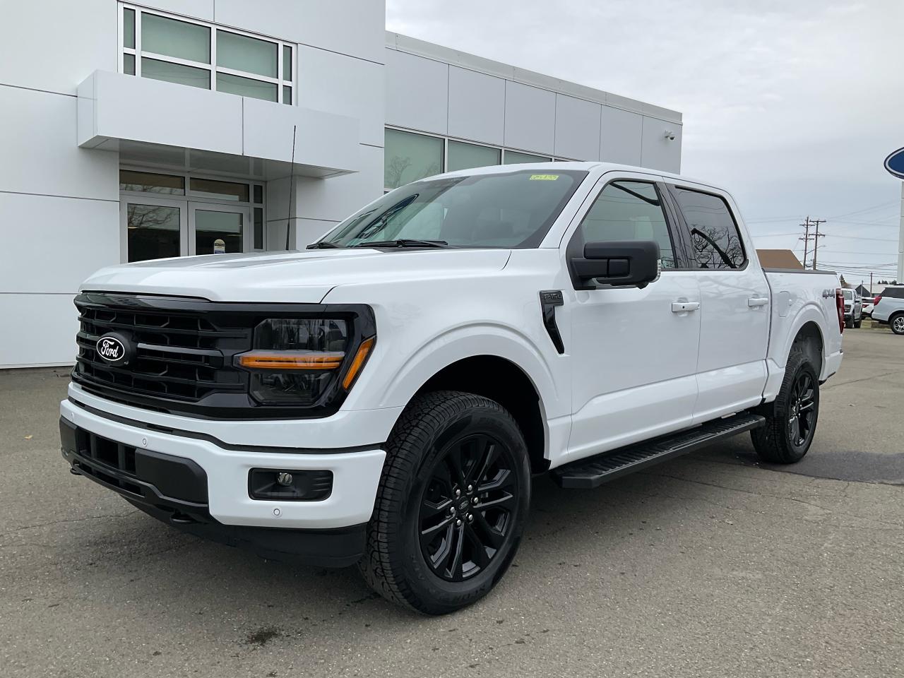 2025 Ford F-150 XLT Photo0