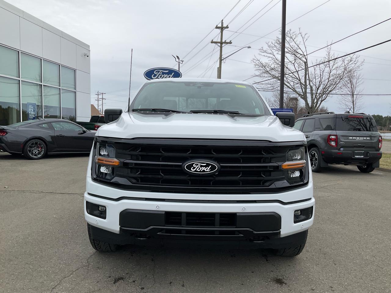 2025 Ford F-150 XLT Photo5