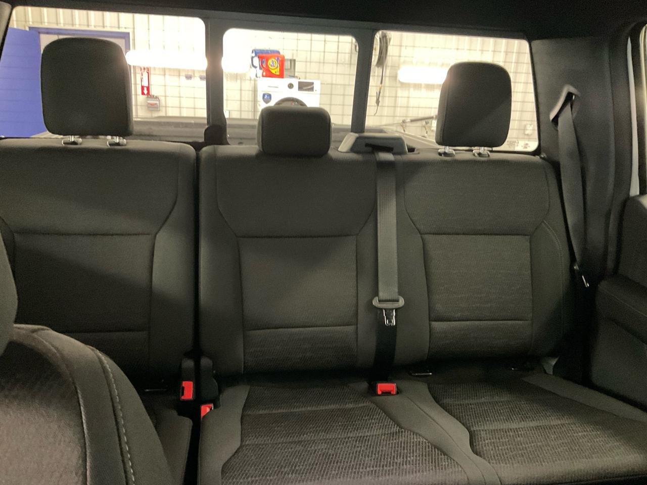 2025 Ford F-150 XLT Photo5