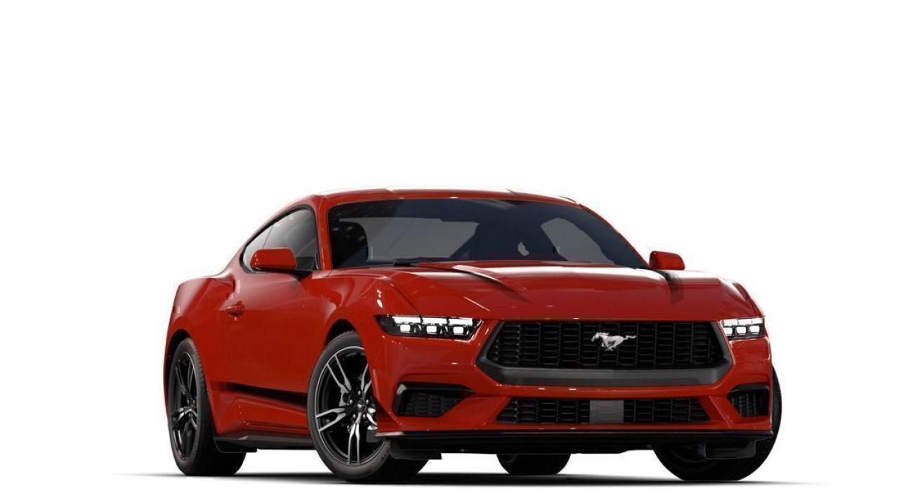2025 Ford Mustang EcoBoost Fastback Photo