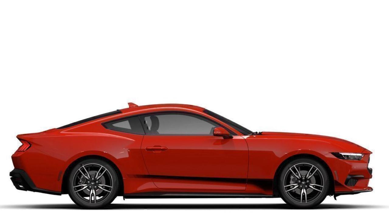 2025 Ford Mustang EcoBoost Fastback Photo