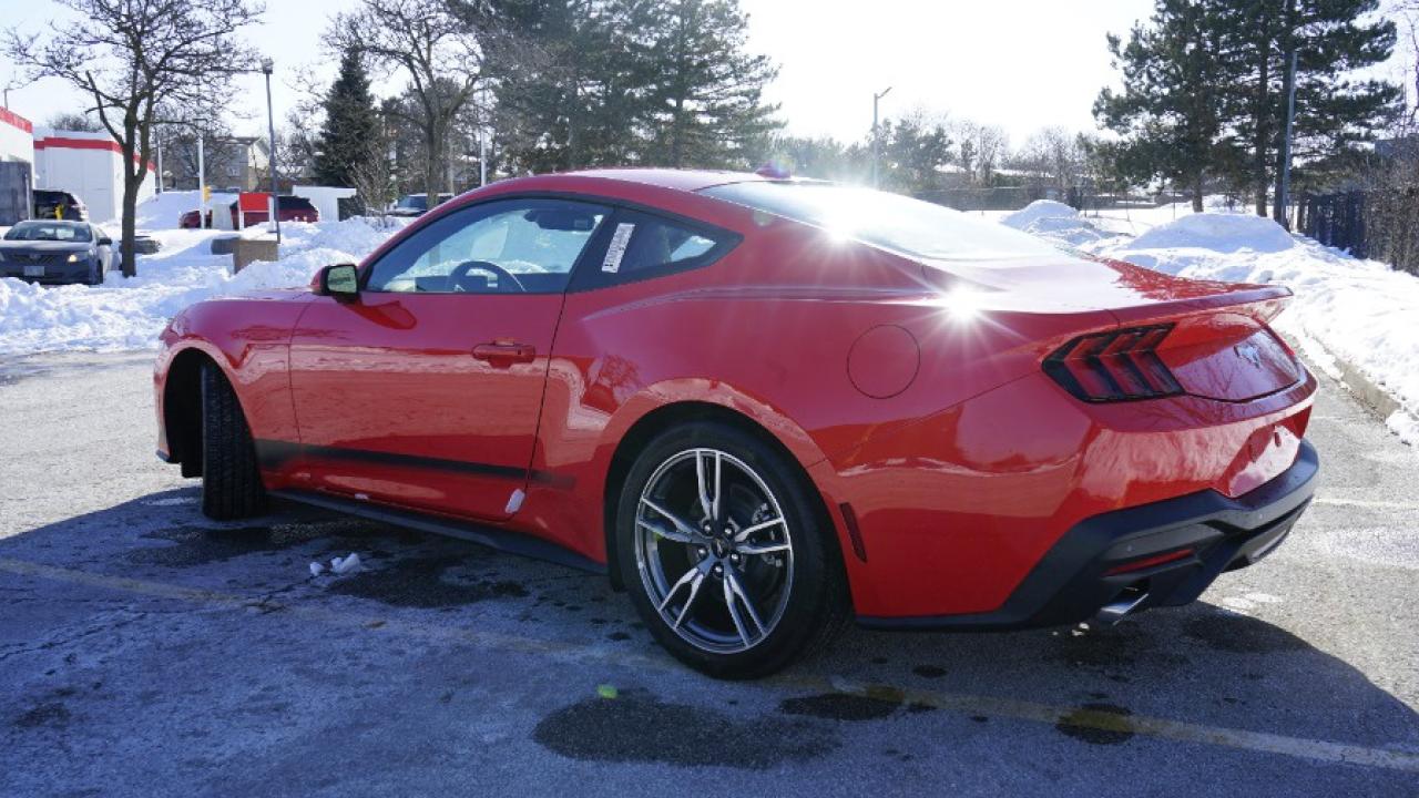 2025 Ford Mustang EcoBoost Fastback Photo