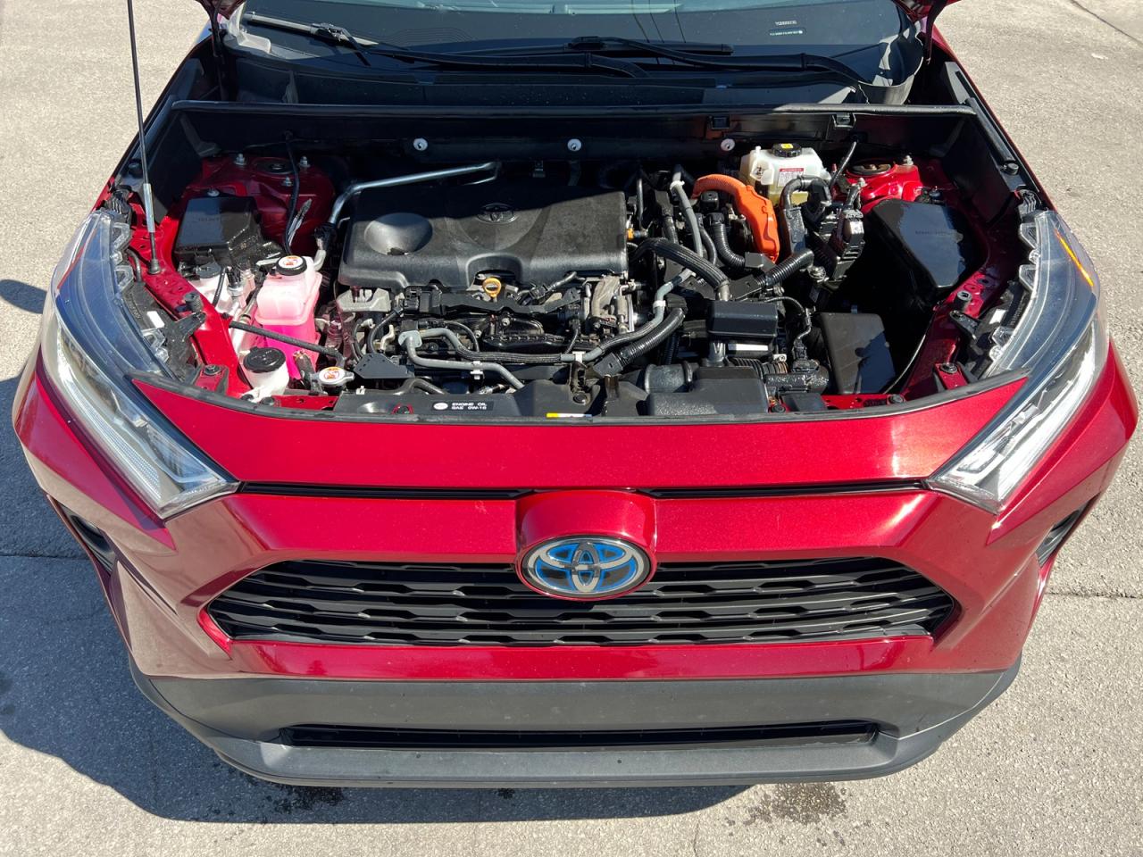 2020 Toyota RAV4 Hybrid XLE Photo