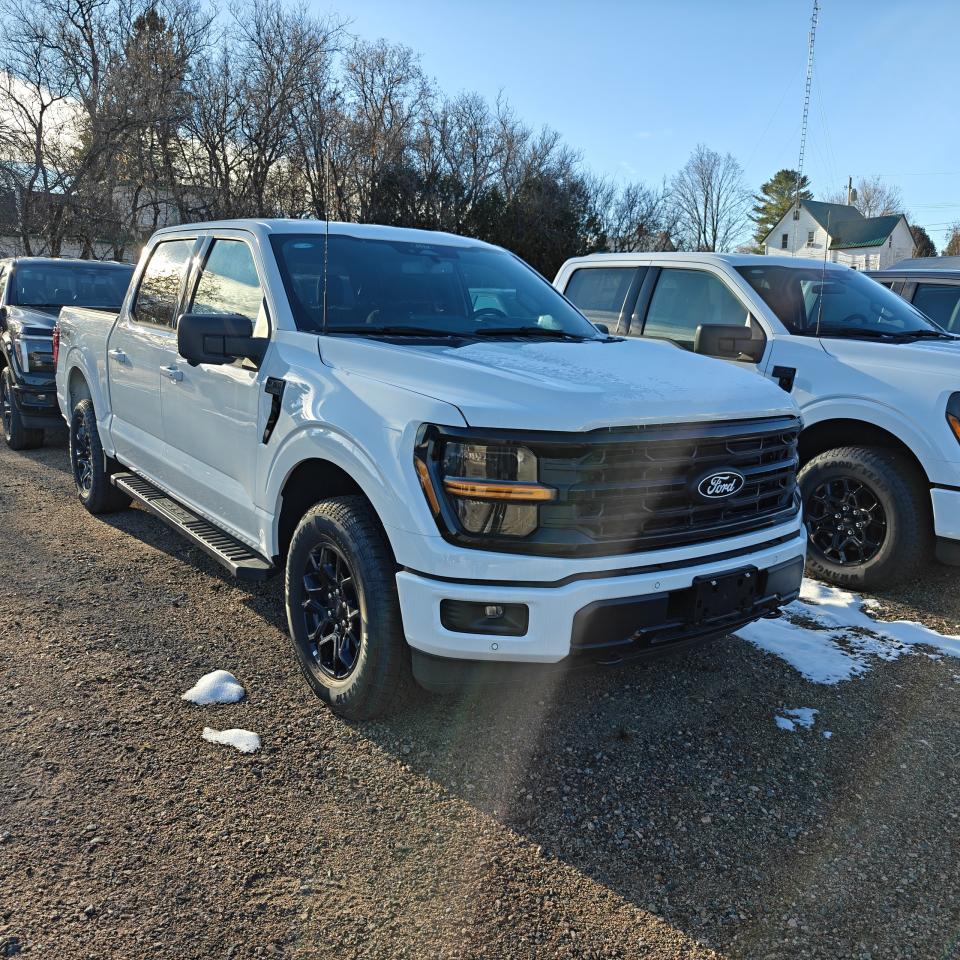 2025 Ford F-150 4X4 SUPERCREW XLT 2.7L 302A Photo3