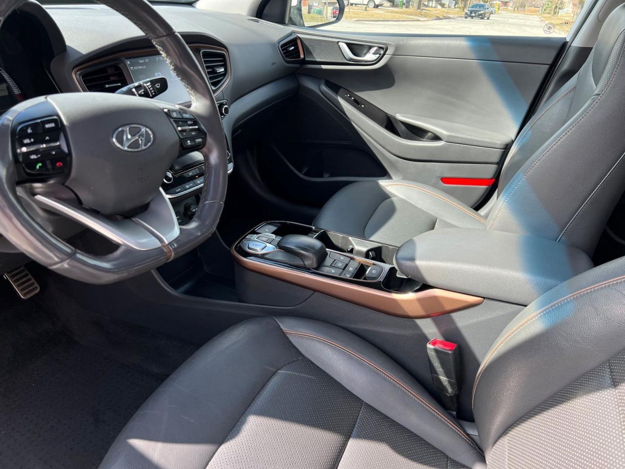 2019 Hyundai IONIQ ELECTRIC ULTIMATE - Photo #28