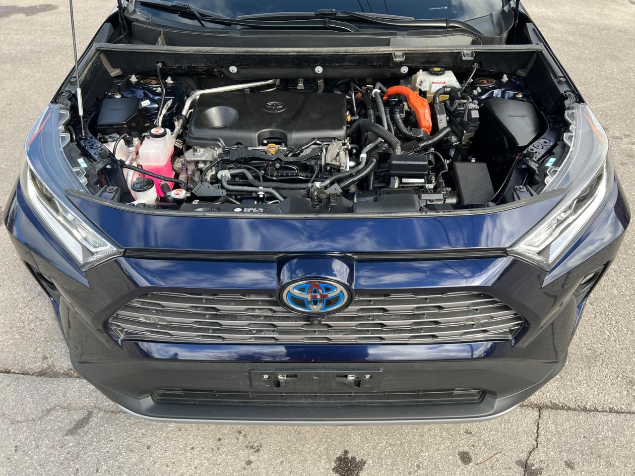2019 Toyota RAV4 Hybrid Limited - Photo #34