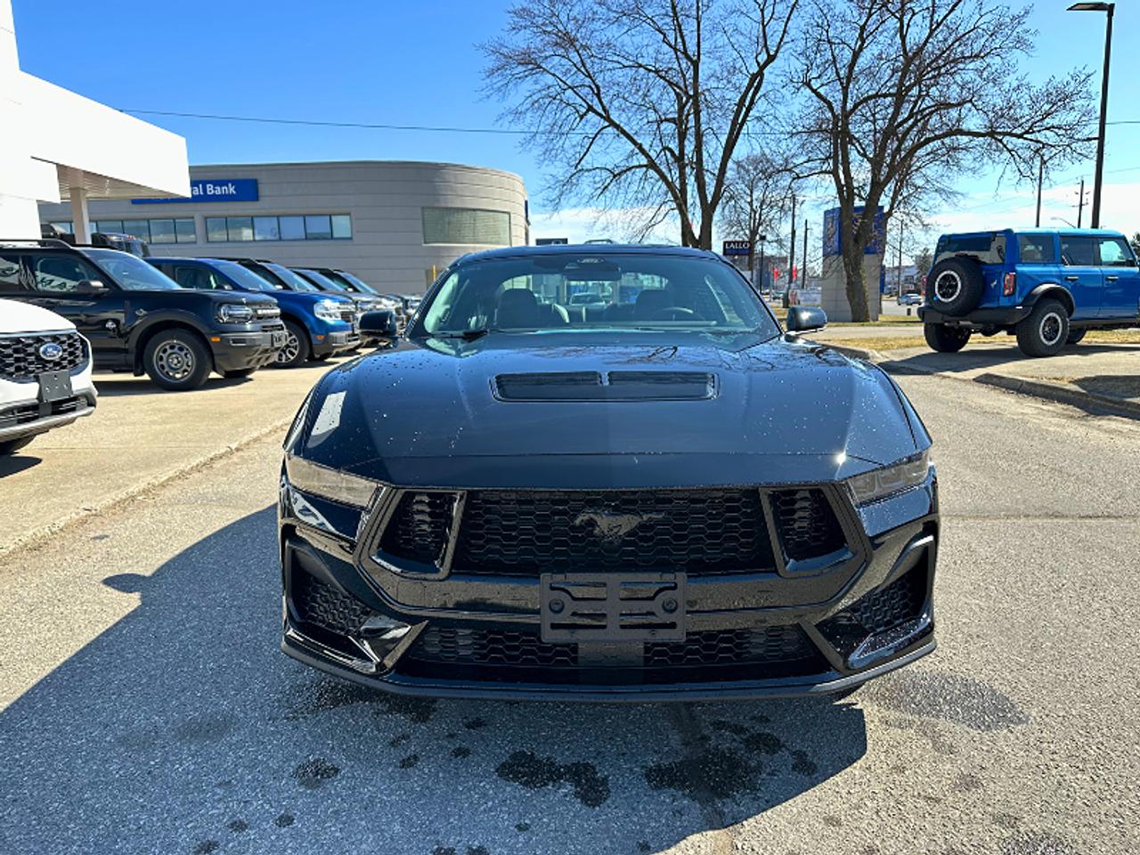 2025 Ford Mustang GT PREMIUM/ MANUAL/COMPANY DEMO ..FASTTTTT Photo