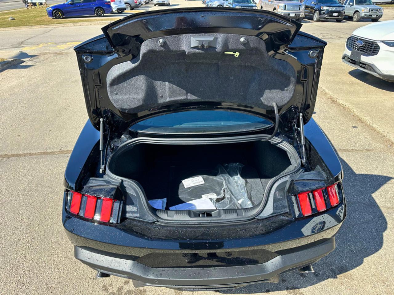 2025 Ford Mustang GT PREMIUM/ MANUAL/COMPANY DEMO ..FASTTTTT Photo