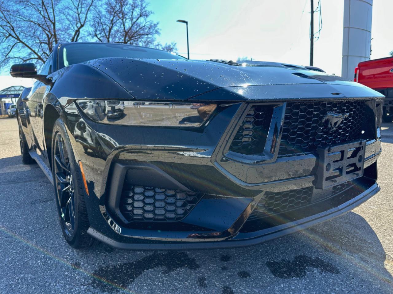 2025 Ford Mustang GT PREMIUM/ MANUAL/COMPANY DEMO ..FASTTTTT Photo