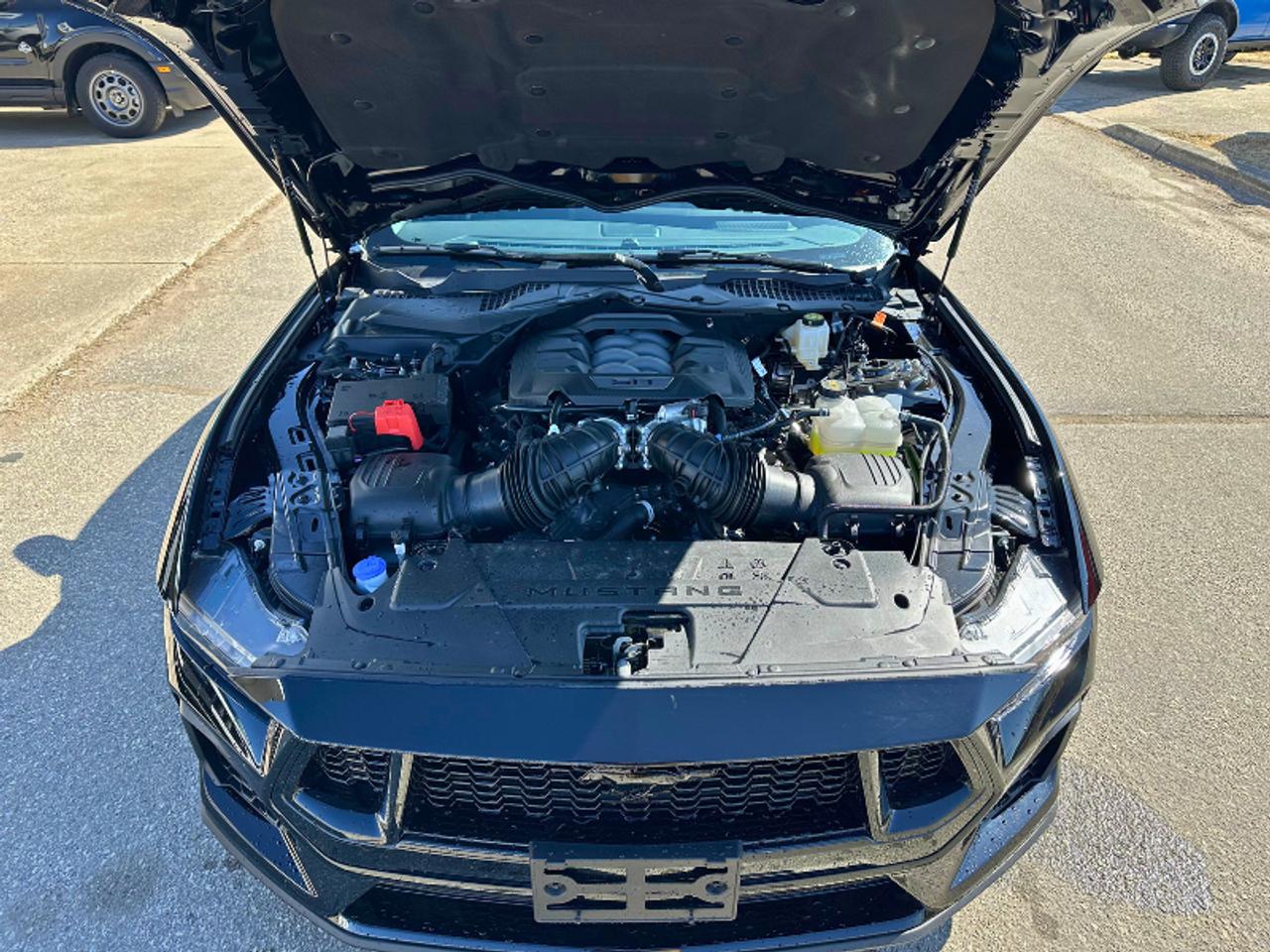 2025 Ford Mustang GT PREMIUM/ MANUAL/COMPANY DEMO ..FASTTTTT Photo