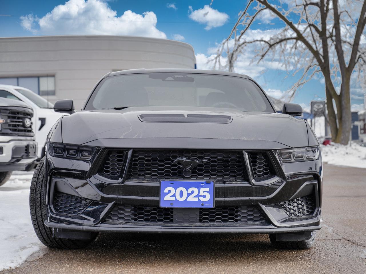 2025 Ford Mustang GT PREMIUM/ MANUAL/COMPANY DEMO ..FASTTTTT Photo