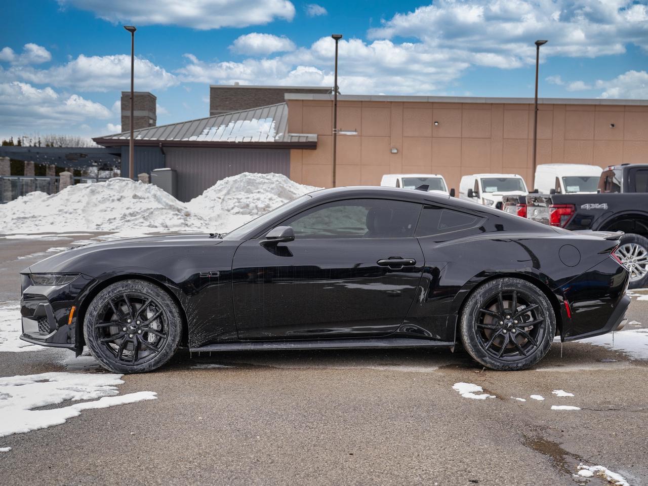 2025 Ford Mustang GT PREMIUM/ MANUAL/COMPANY DEMO ..FASTTTTT Photo2