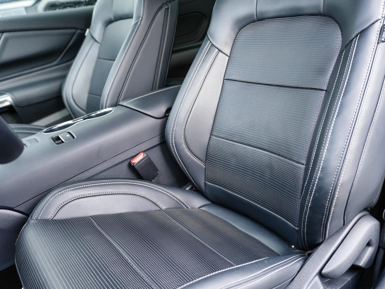 2025 Ford Mustang GT PREMIUM/ MANUAL/COMPANY DEMO ..FASTTTTT Photo