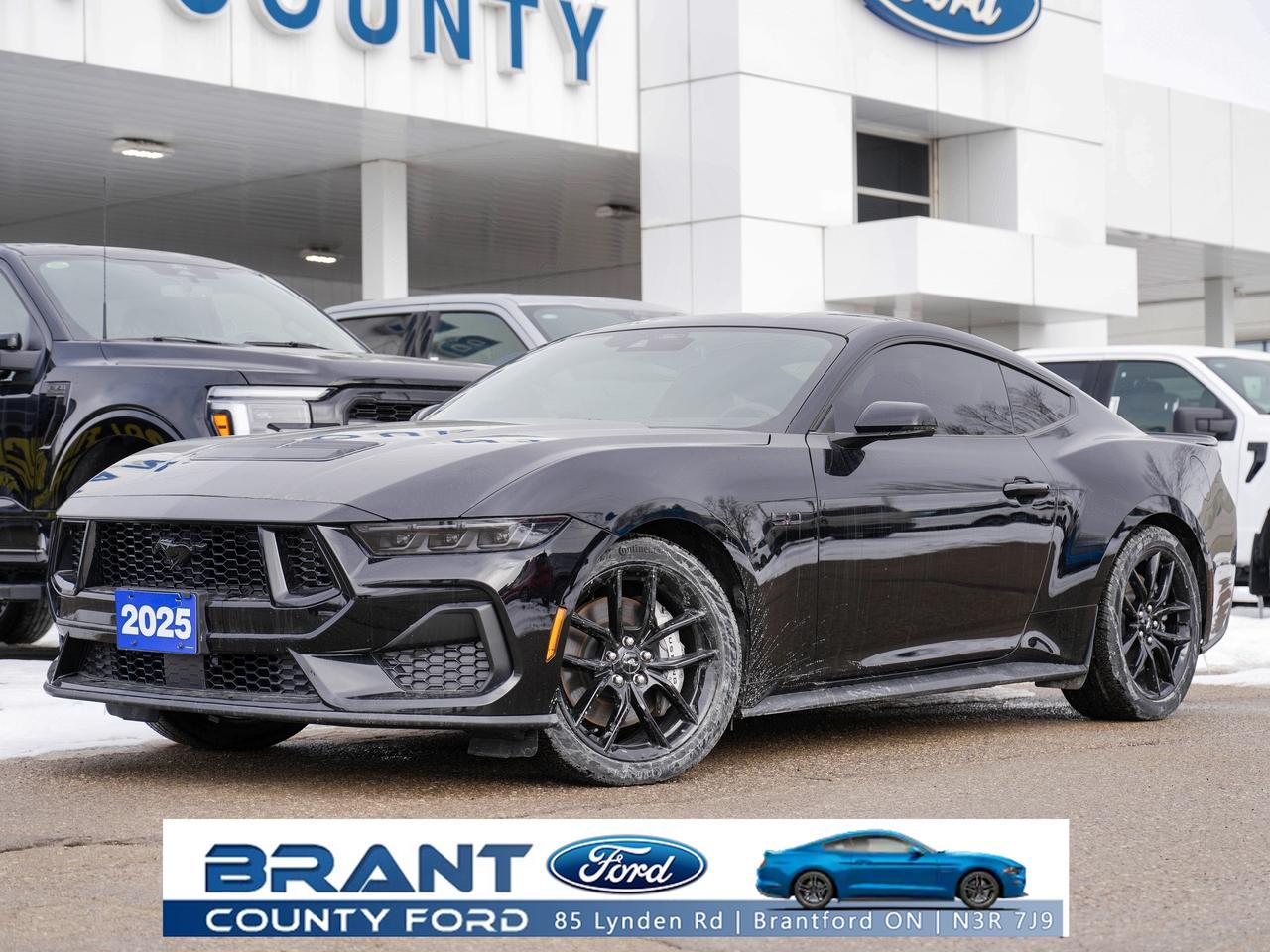 2025 Ford Mustang GT Premium Photo