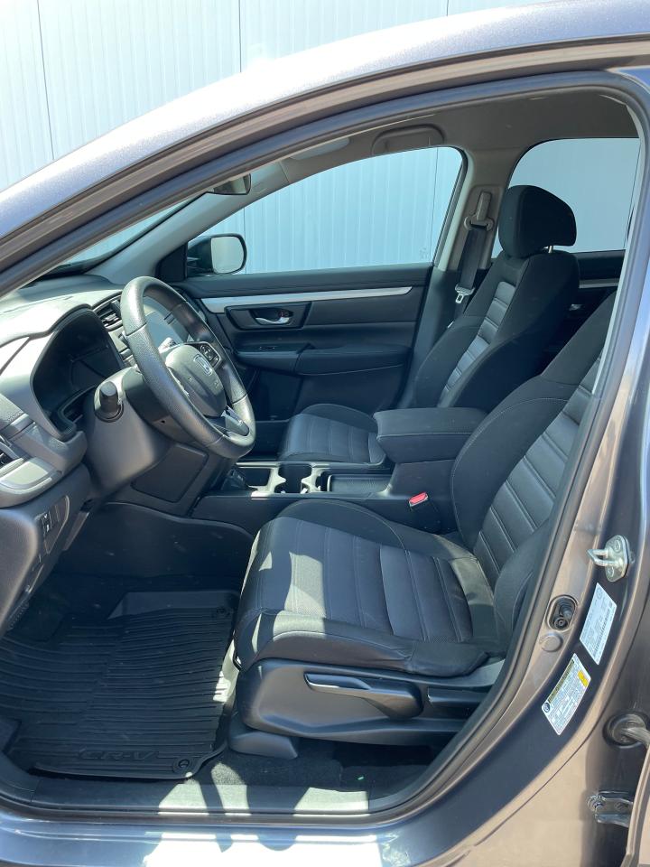 2019 Honda CR-V LX Photo
