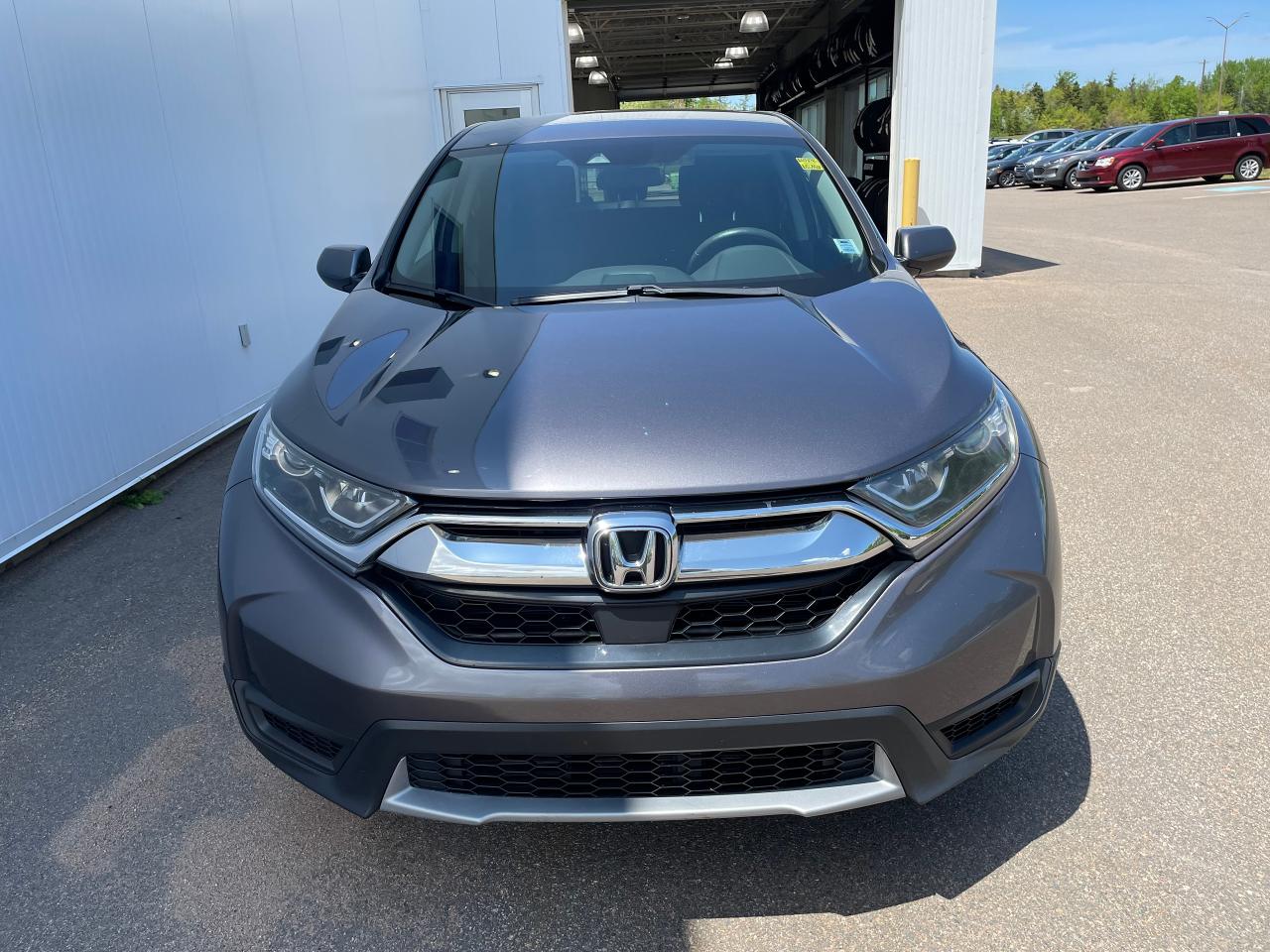 2019 Honda CR-V LX Photo3