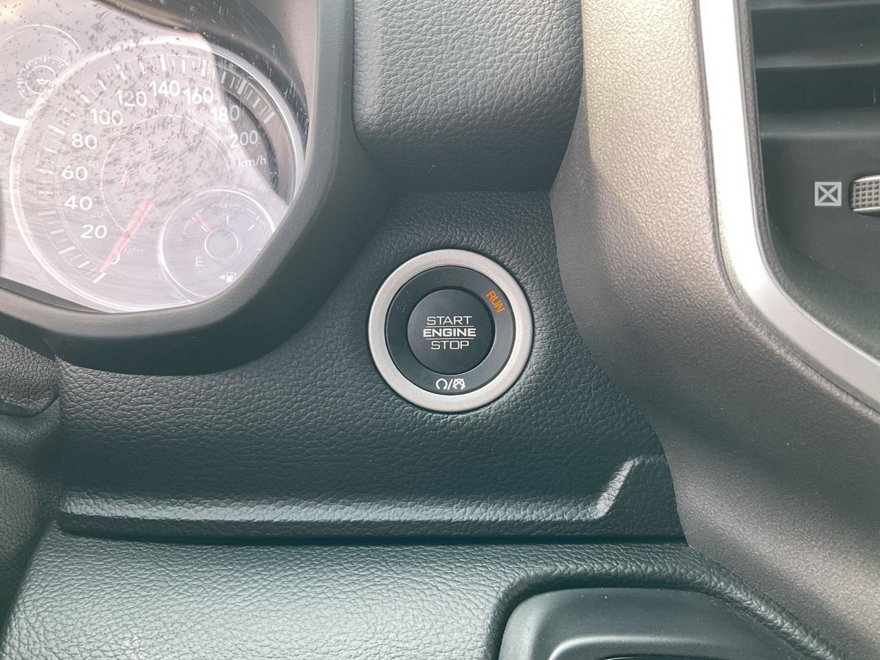 12317594