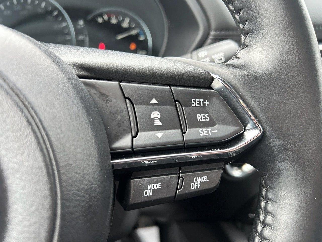 12317615