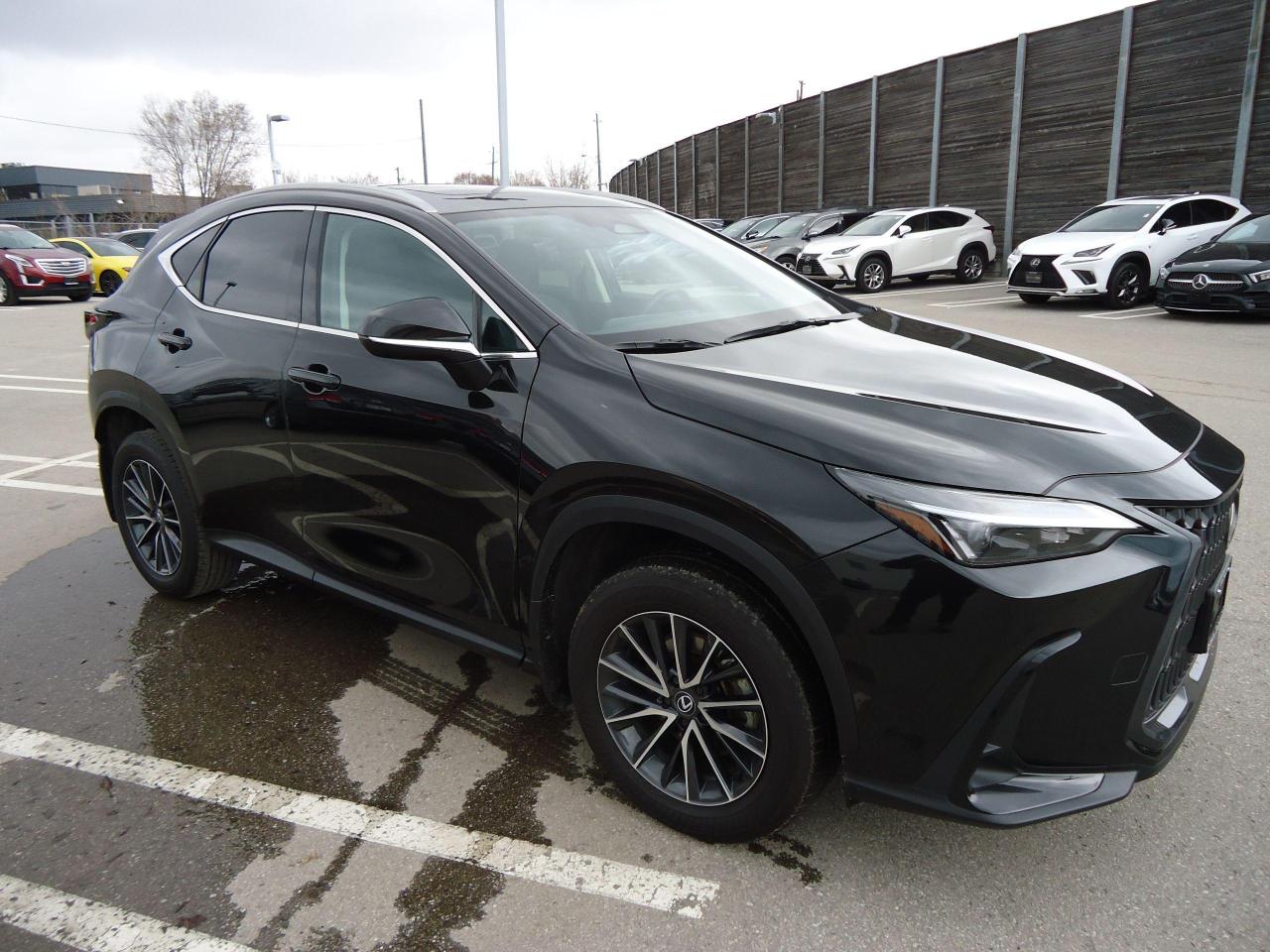 Used 2024 Lexus NX NX 350 AWD for sale in Toronto, ON