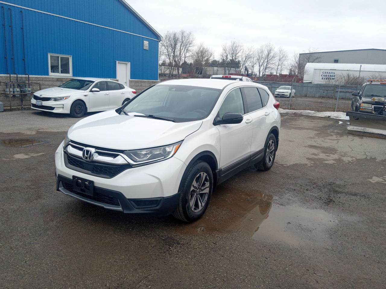 Used 2019 Honda CR-V LX for sale in Barrie, ON