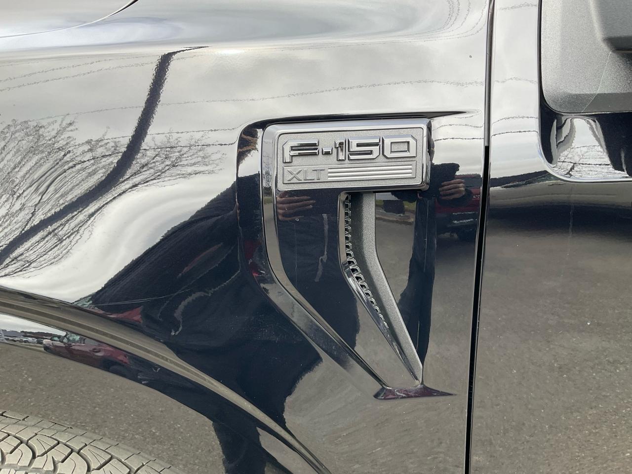 2025 Ford F-150 XLT Photo5