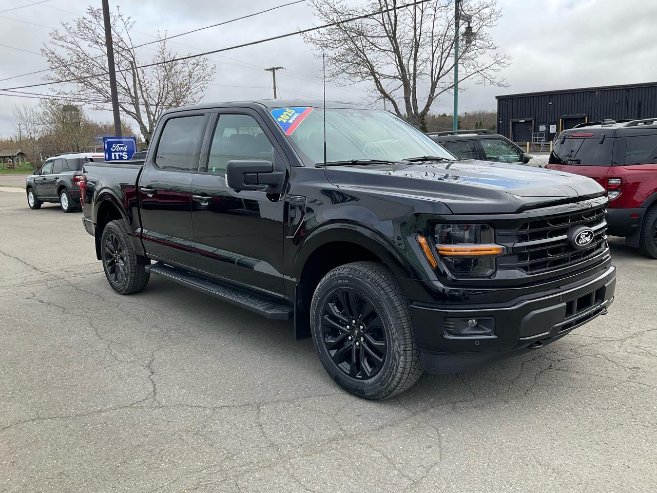 2025 Ford F-150 XLT Photo2
