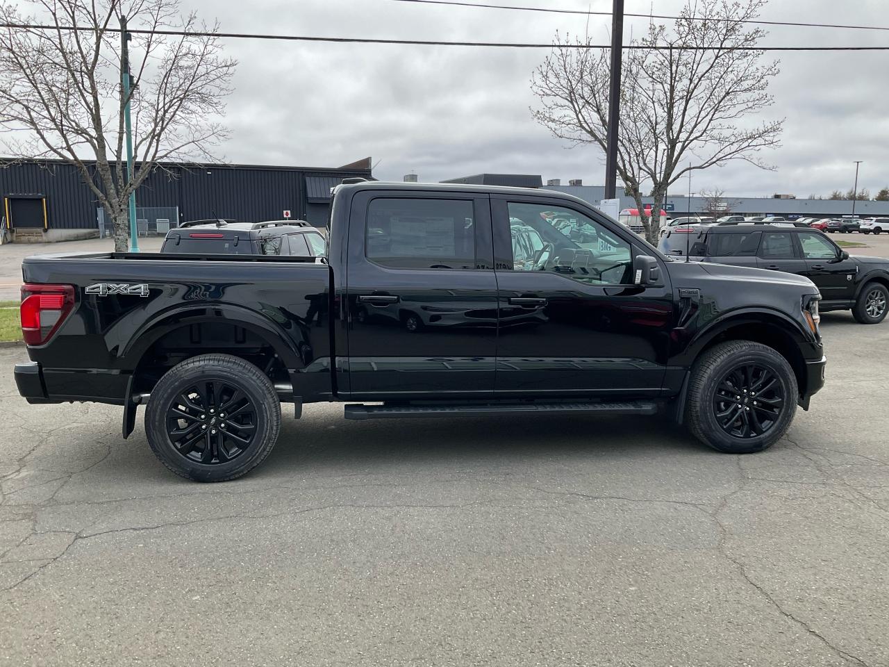 2025 Ford F-150 XLT Photo5