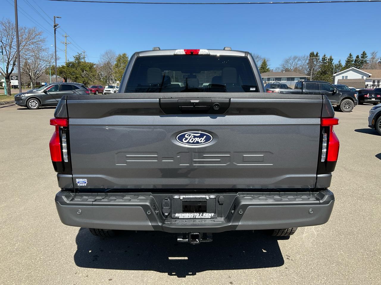 2025 Ford F-150 Lightning Flash Photo5