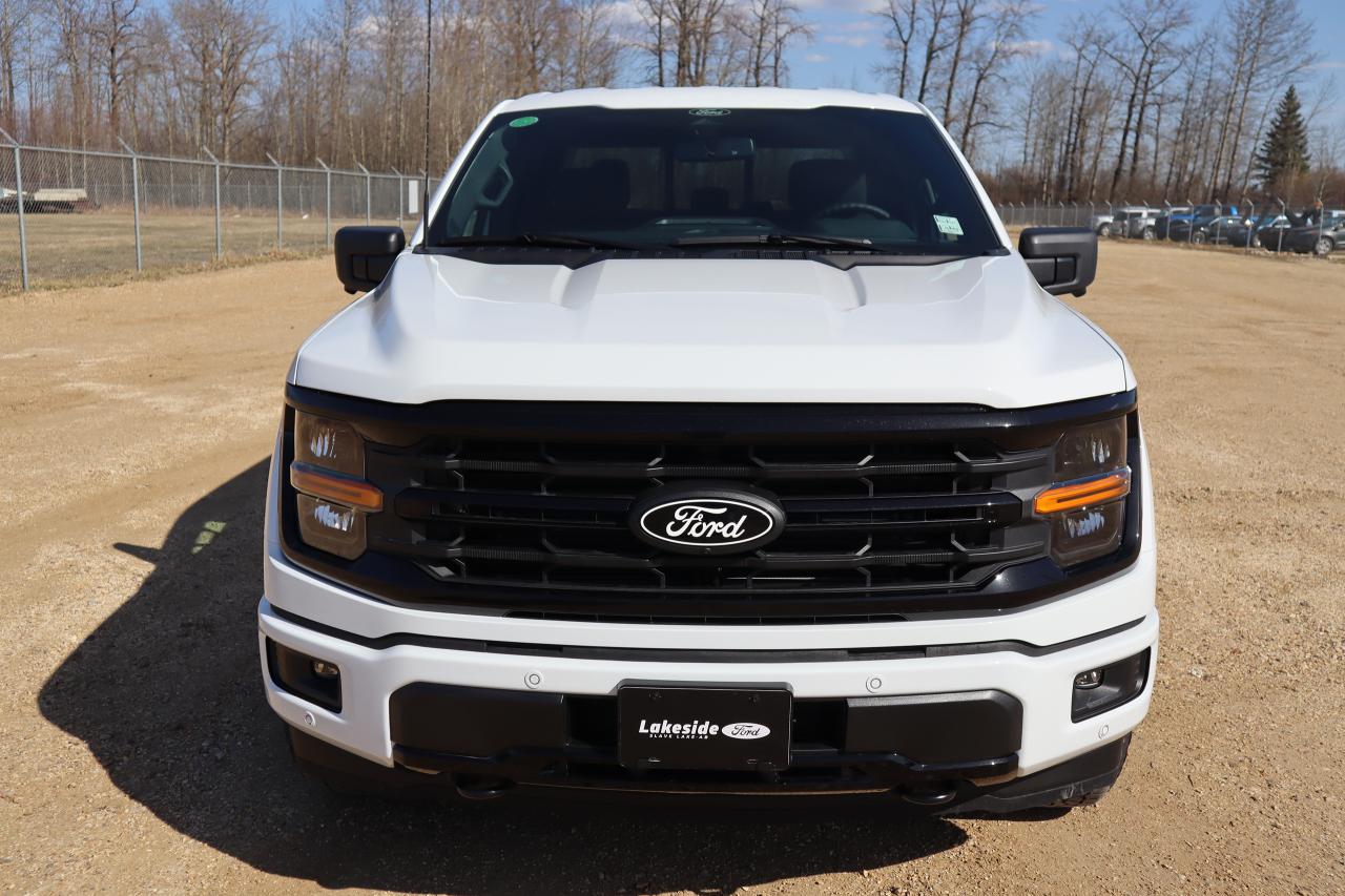 2025 Ford F-150 XLT Photo5