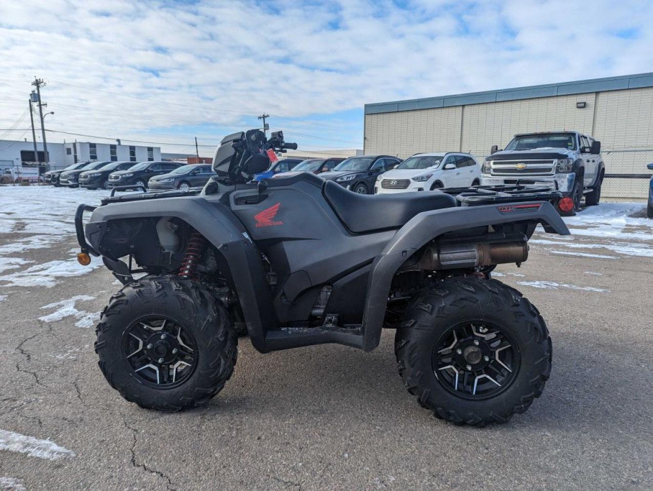 2019 Honda Rubicon 520 DCT Deluxe - Photo #6