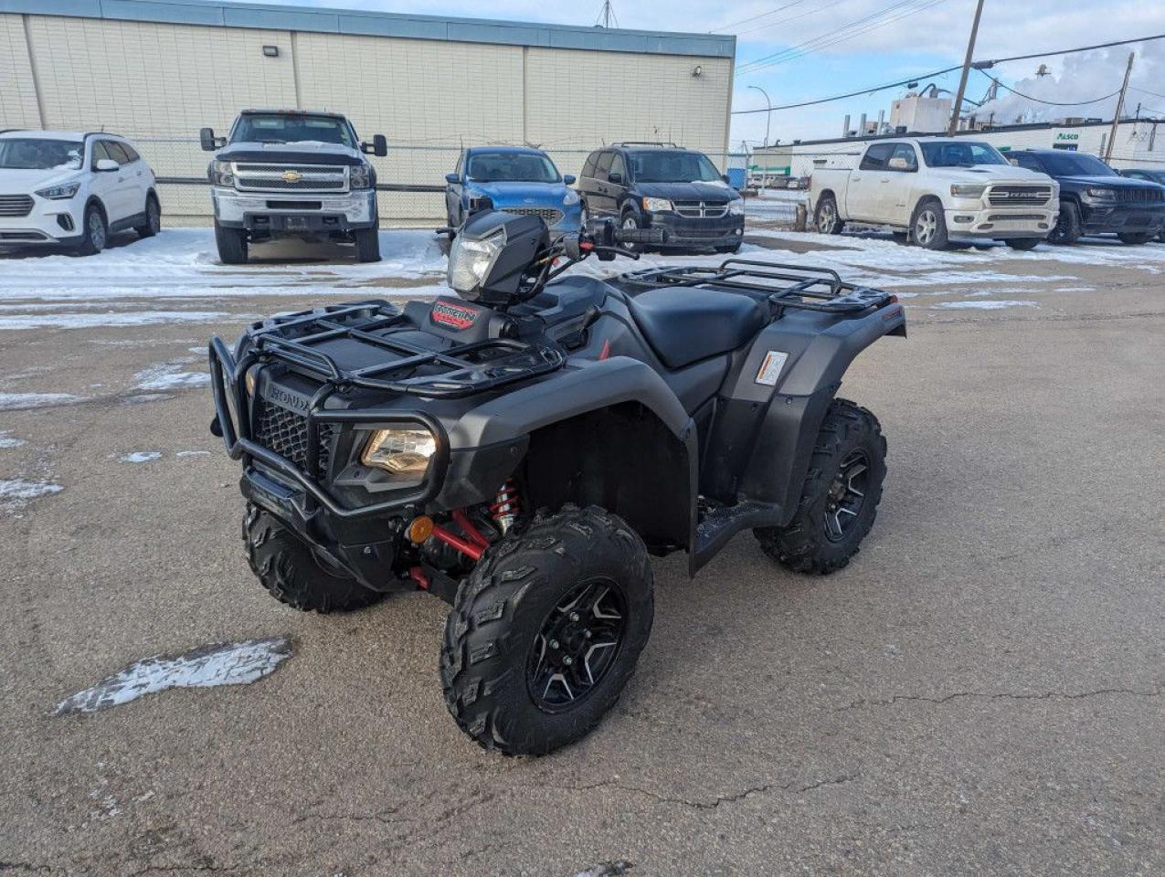 2019 Honda Rubicon 520 DCT Deluxe - Photo #9