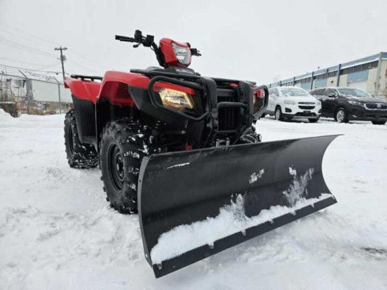 2022 Honda Rubicon 520 DCT IRS EPS - Photo #4