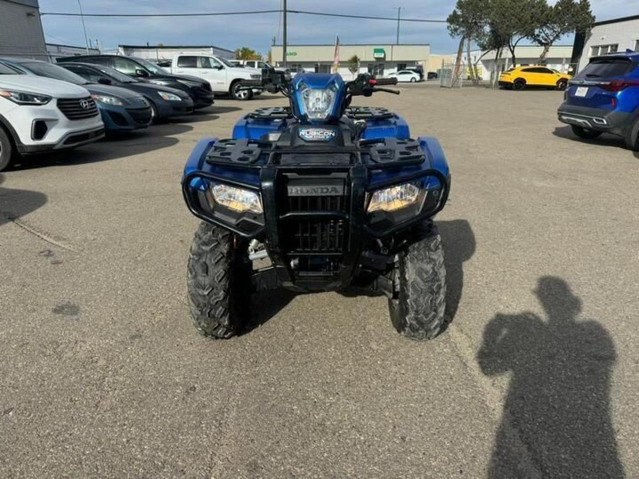 2022 Honda Rubicon DCT IRS EPS $109 B/W - Photo #5