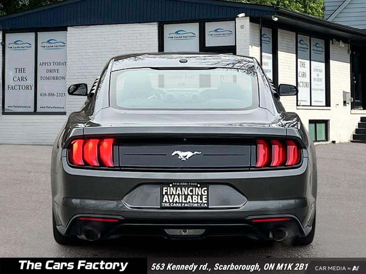 2019 Ford Mustang EcoBoost Fastback 1-Owner No Accident! Photo4
