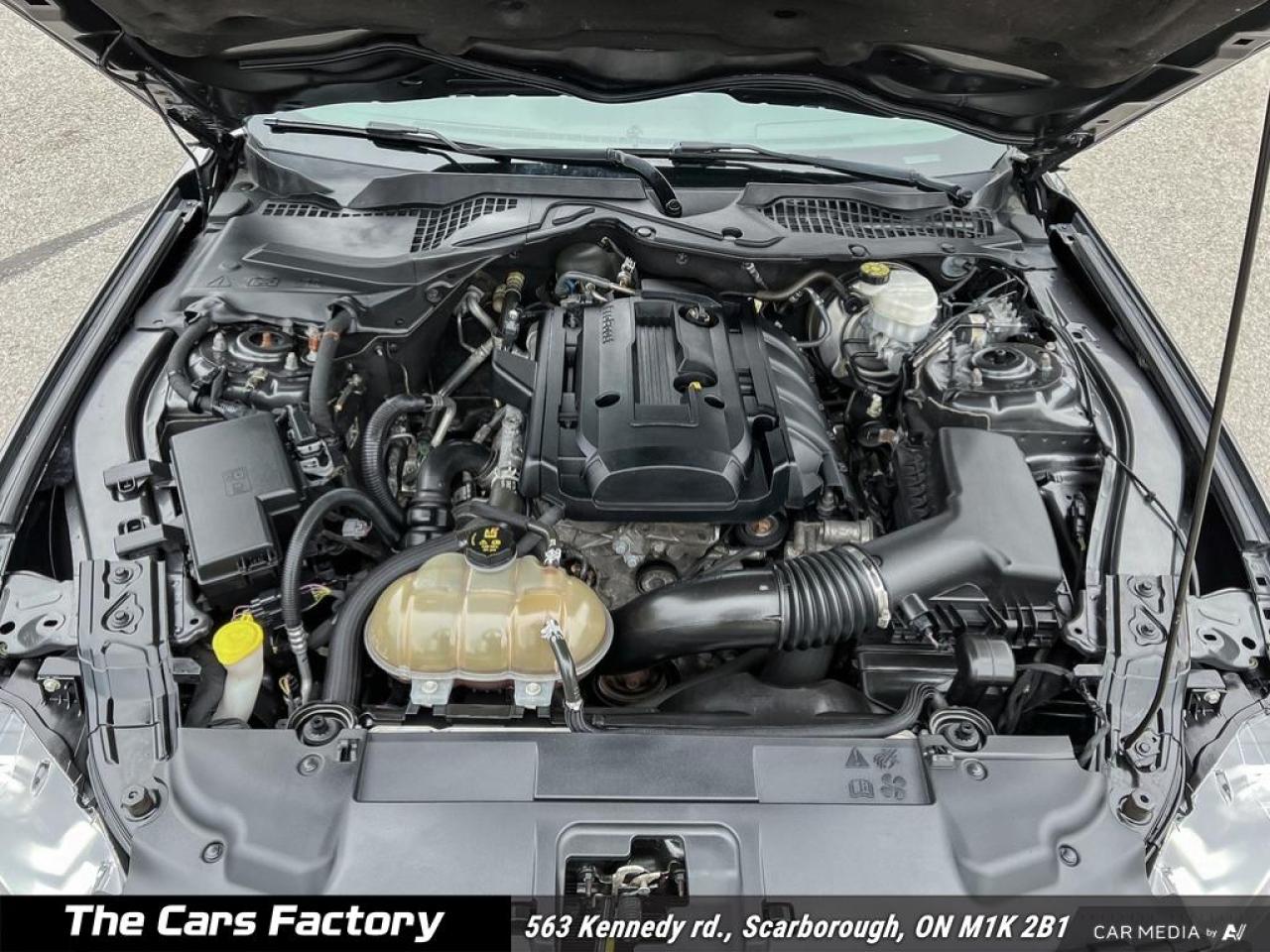 2019 Ford Mustang EcoBoost Fastback 1-Owner No Accident! - Photo #9