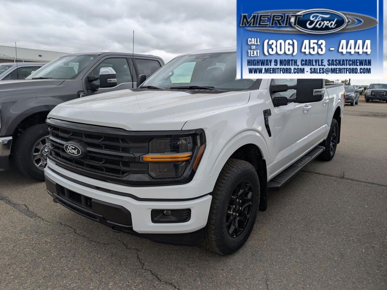 New 2025 Ford F-150 XLT - Power Tailgate, Backup Cam + for sale in Carlyle, SK