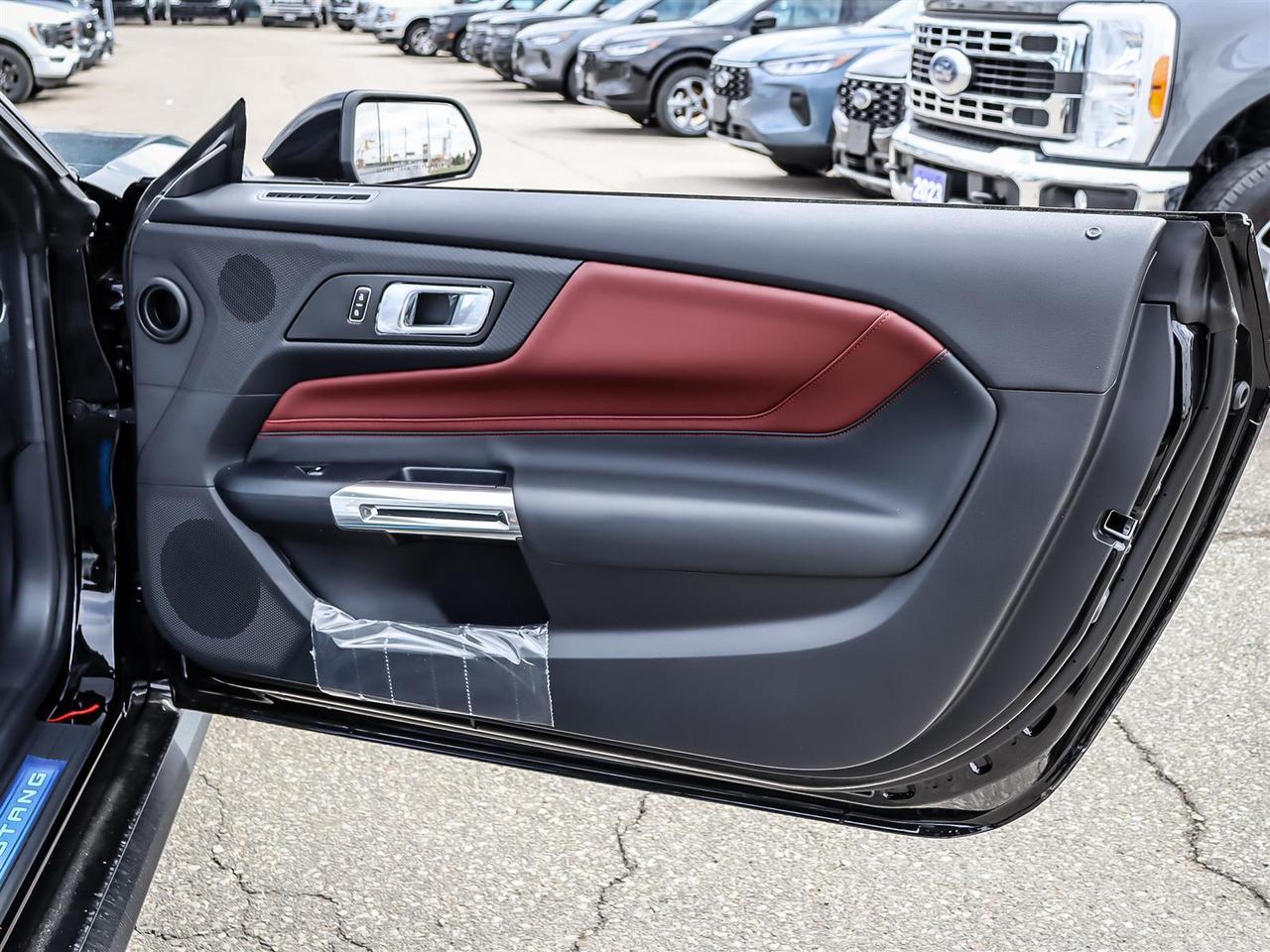 2025 Ford Mustang GT Premium Photo