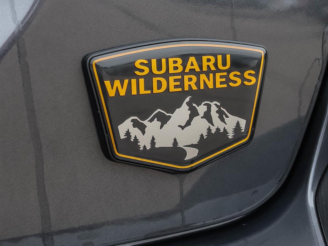 2025 Subaru XV Crosstrek Wilderness Photo