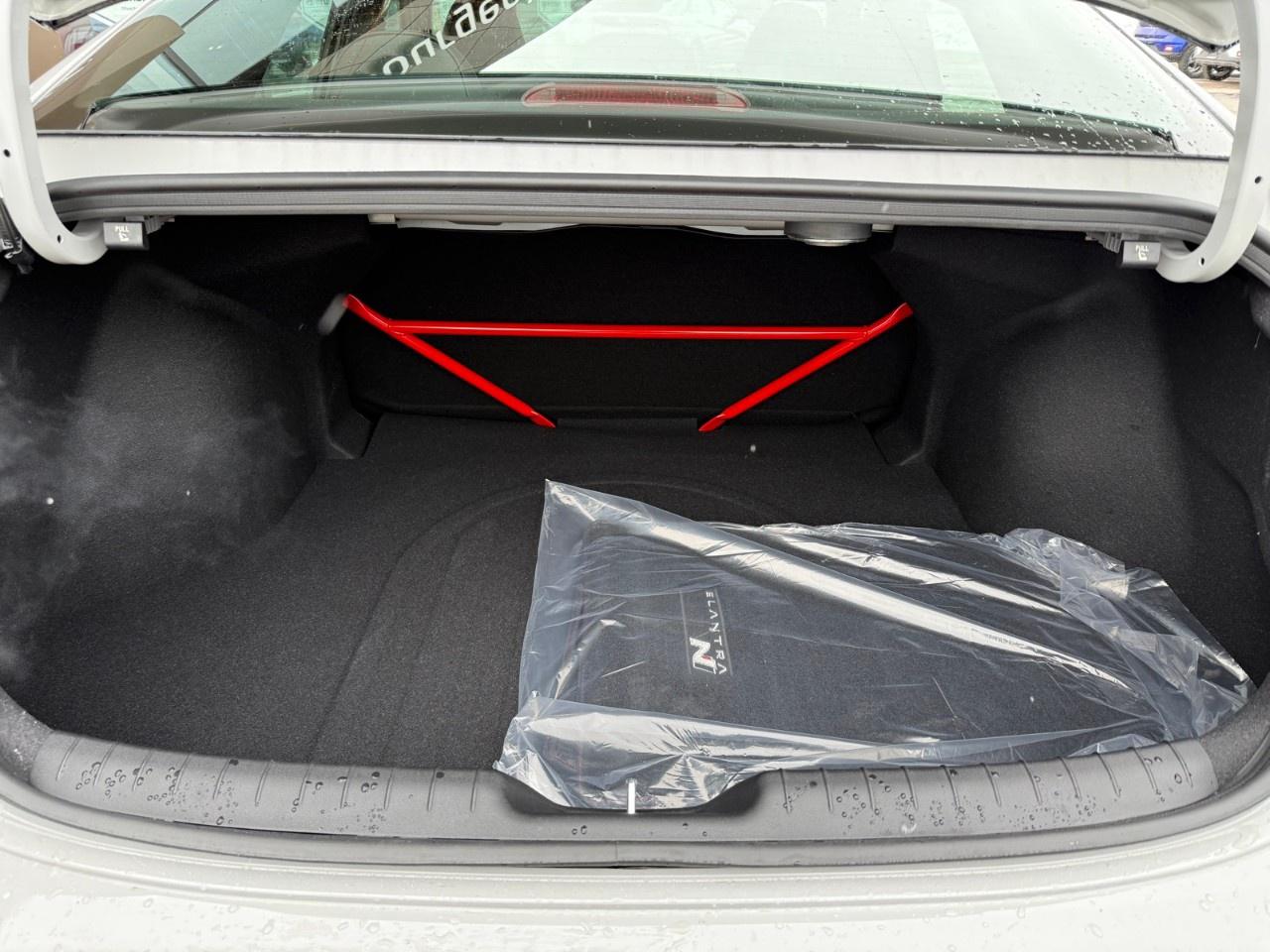 2025 Hyundai Elantra N Manual Photo