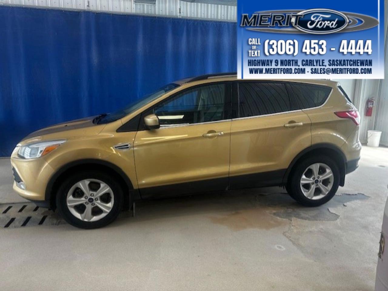 Used 2015 Ford Escape SE - AWD, Power Liftgate + MORE for sale in Carlyle, SK