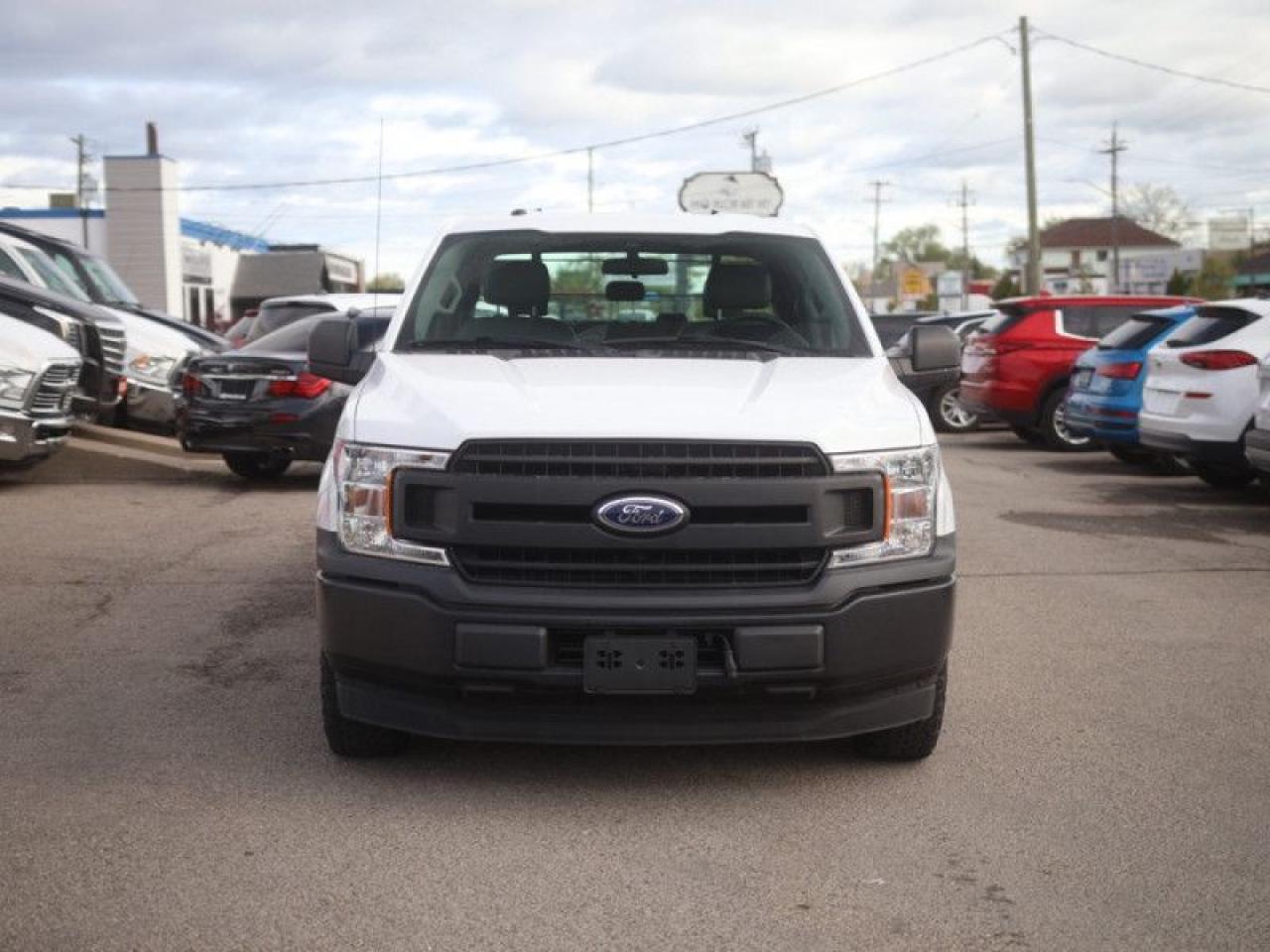 2019 Ford F-150 XL  **LOW KMS - NO ACCIDENTS - 2WD** Photo4