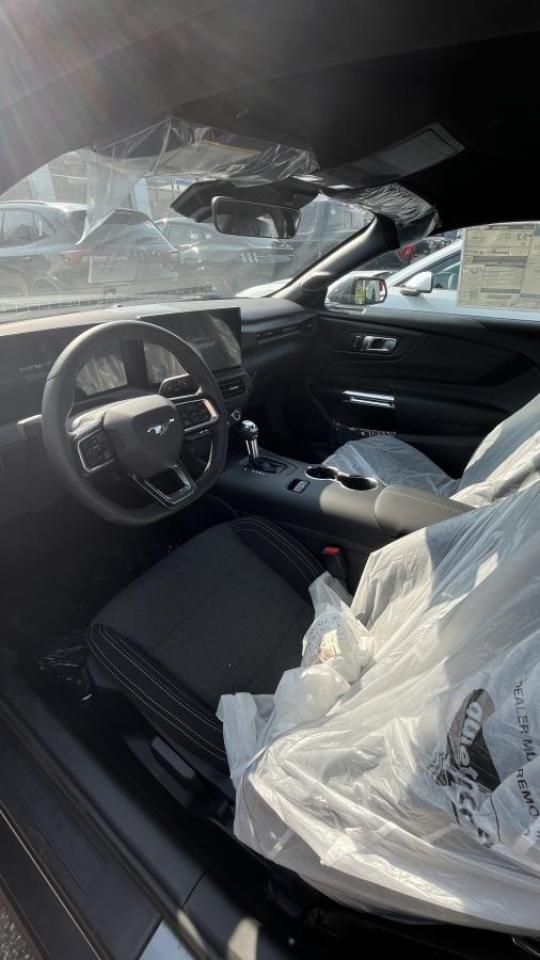 2025 Ford Mustang EcoBoost Photo