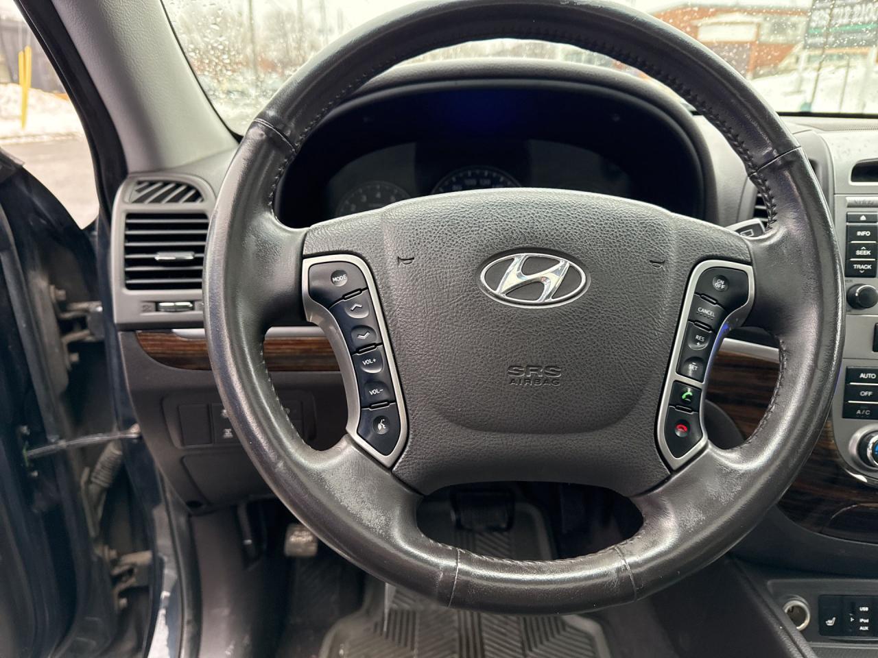 2010 Hyundai Santa Fe AWD 4dr V6 Auto Limited - Photo #15
