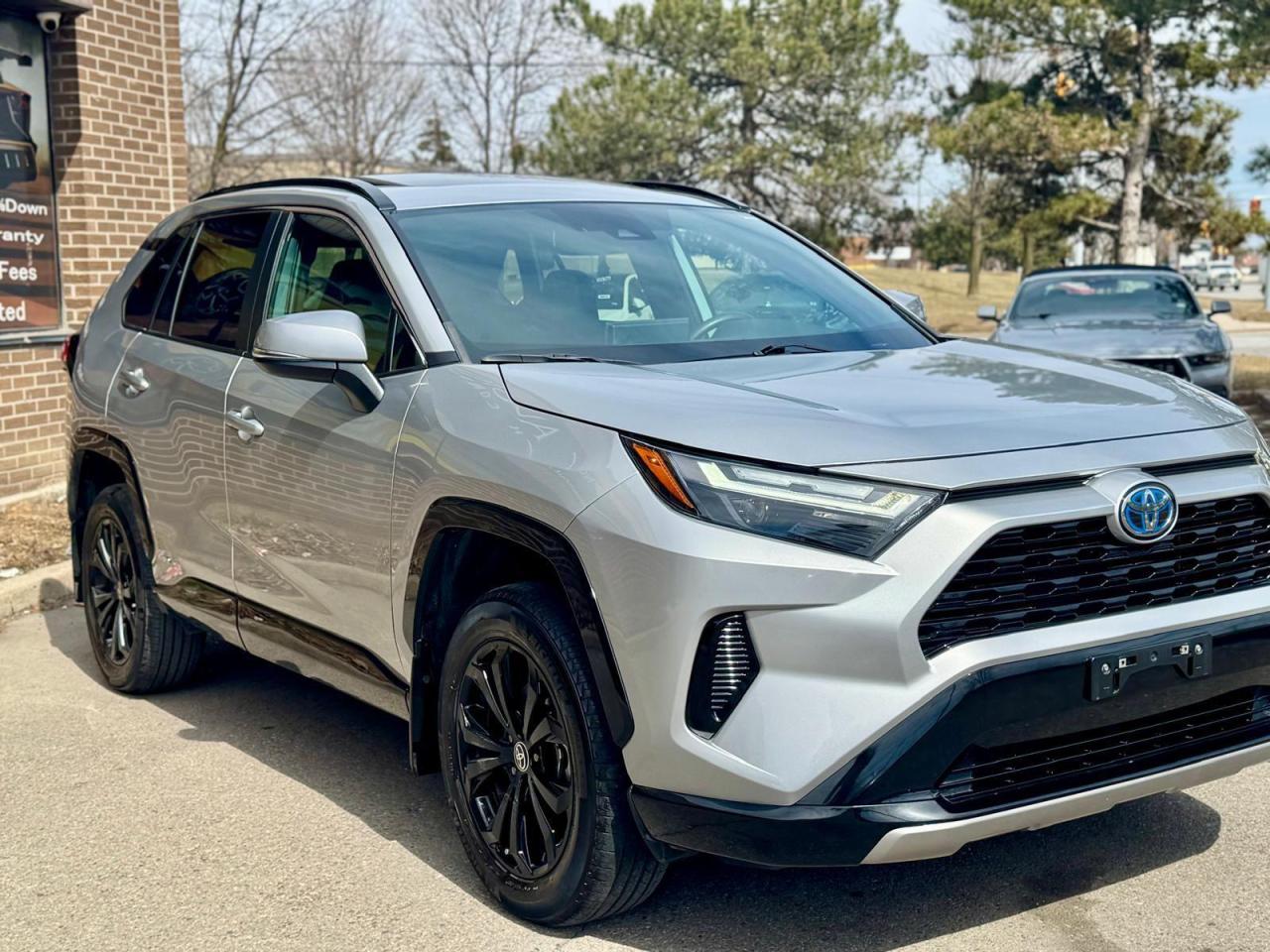 2022 Toyota RAV4  Photo3